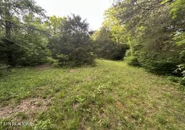 Photo 1 of Land for sale at Carlos Rd, Sneedville, TN 37869 | MLS# 1350919 | Listing updated on 2026-08-28