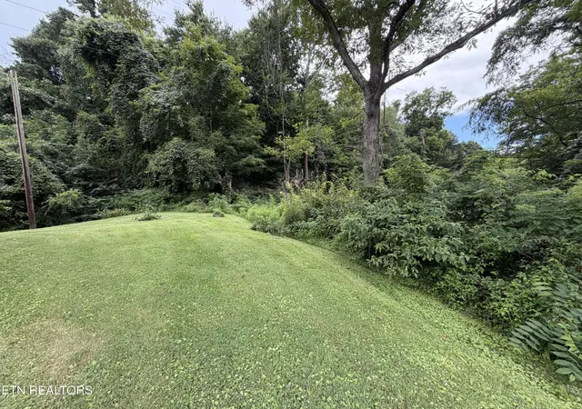 Photo 4 of Single family home for sale at 1610 Balls Chapel Rd, Rose Hill, VA 24281 | MLS# 1350905 | Listing updated on 2026-10-05