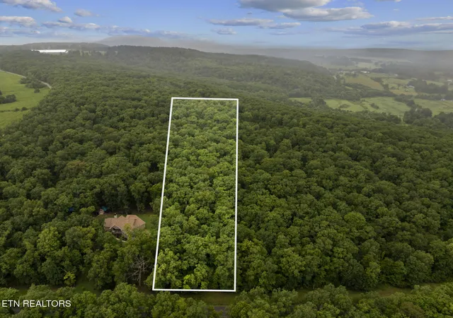 4th image of 206 Ac Simmons Rd, Pikeville, TN 37367 | MLS# 1351011