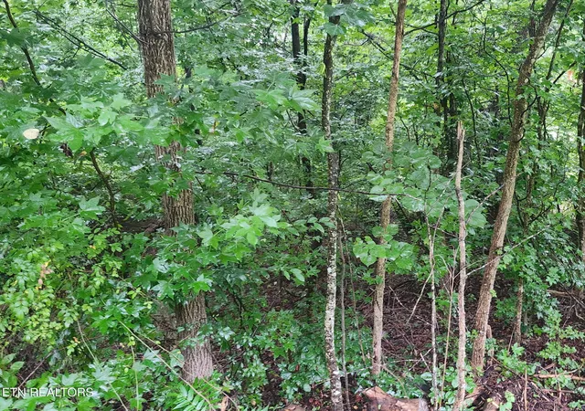 4th image of Vann Dr, Harriman, TN 37748 | MLS# 1351024
