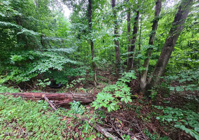 5th image of Vann Dr, Harriman, TN 37748 | MLS# 1351024