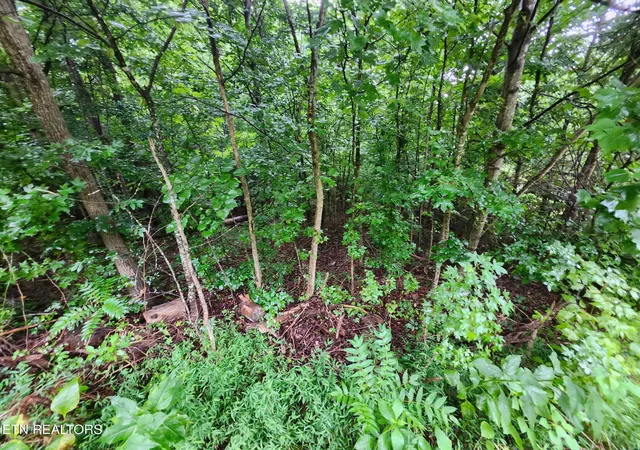 8th image of Vann Dr, Harriman, TN 37748 | MLS# 1351024
