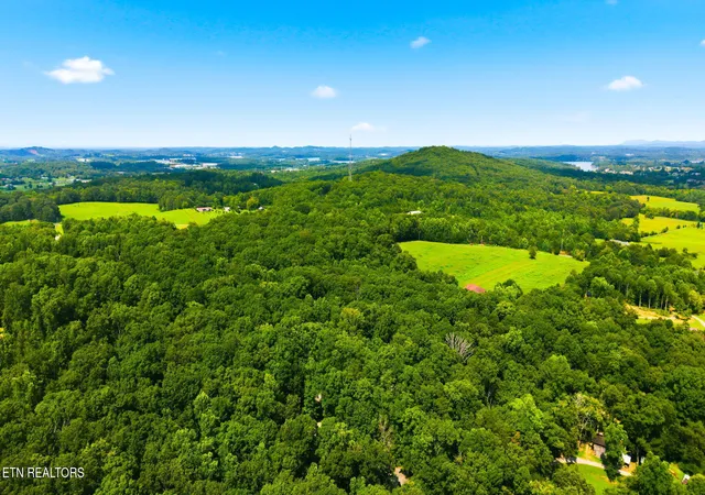 38th image of 170 Badger Rd, Madisonville, TN 37354 | MLS# 1351675