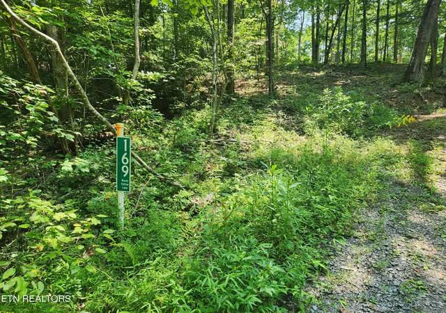 Photo 4 of Land for sale at 169 Woods Holw Ln, Crossville, TN 38571 | MLS# 1351303 | Listing updated on 2026-08-11