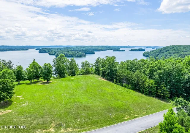 2nd image of 472 Hidden Forest Tr, Spring City, TN 37381 | MLS# 1351051