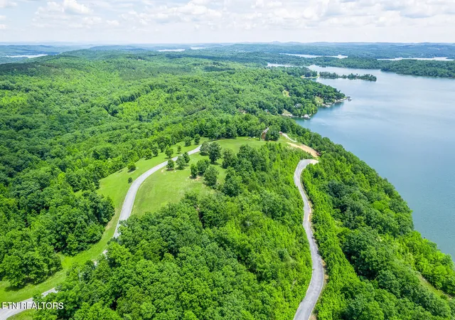Photo 3 of Land for sale at 472 Hidden Forest Tr, Spring City, TN 37381 | MLS# 1351051 | Listing updated on 2026-08-07