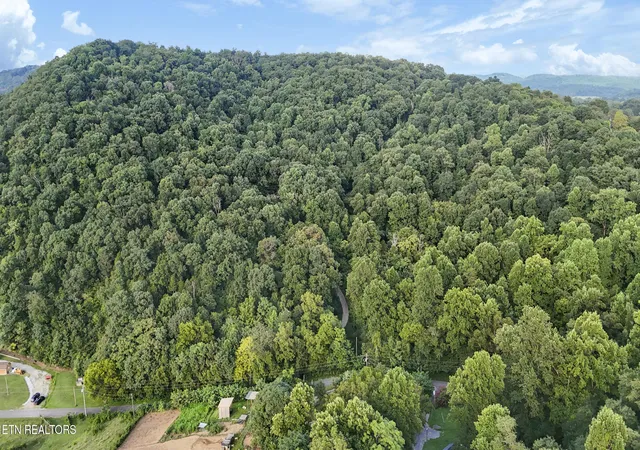 Photo 3 of Land for sale at Tbd Flt Gap Rd, New Market, TN 37820 | MLS# 1350961 | Listing updated on 2026-08-13