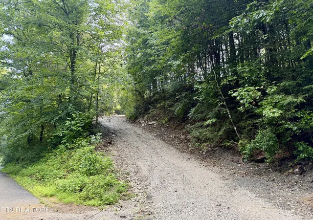 3rd image of 0 Melvin Hollow Rd, Pioneer, TN 37847 | MLS# 1351062