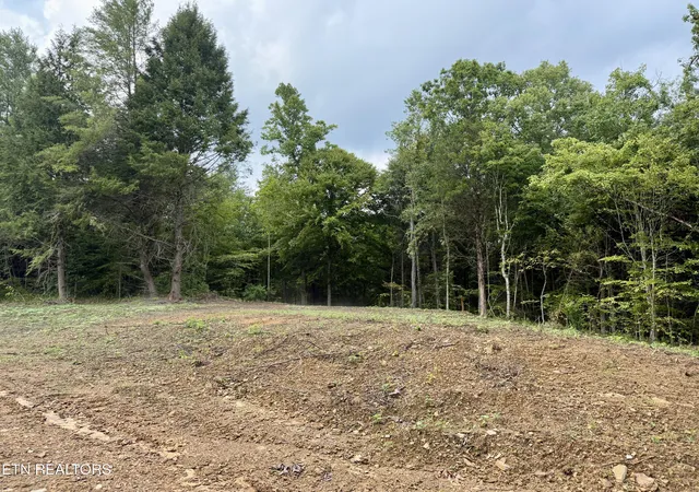 5th image of 0 Melvin Hollow Rd, Pioneer, TN 37847 | MLS# 1351062