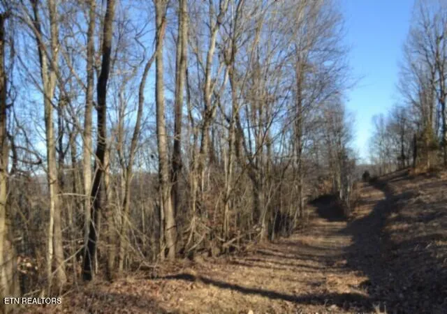 3rd image of 552Ac Cabin Hill Rd, Celina, TN 38551 | MLS# 1351065