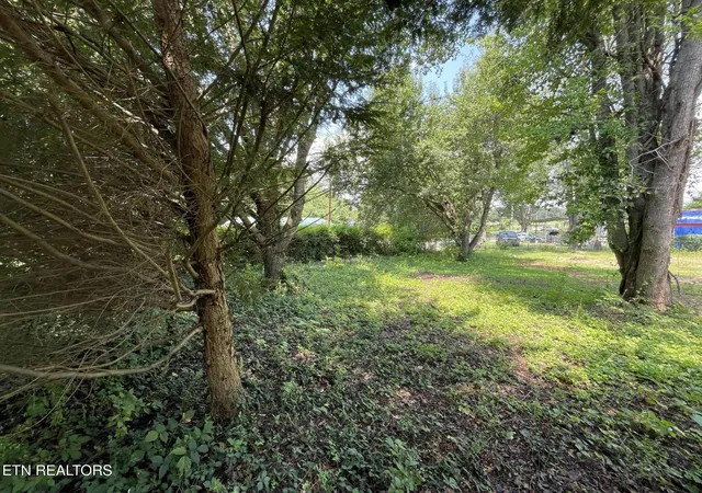 30th image of 402 Long St, Englewood, TN 37329 | MLS# 1351260