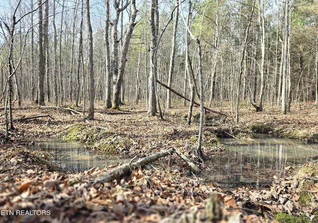 1st image of 0 Cottonwood Tr, Sunbright, TN 37872 | MLS# 1351080