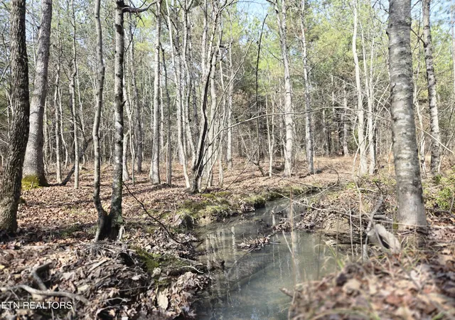 2nd image of 0 Cottonwood Tr, Sunbright, TN 37872 | MLS# 1351080