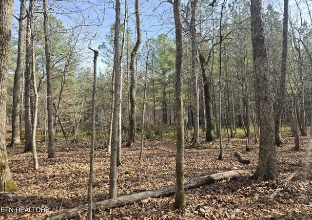 3rd image of 0 Cottonwood Tr, Sunbright, TN 37872 | MLS# 1351080