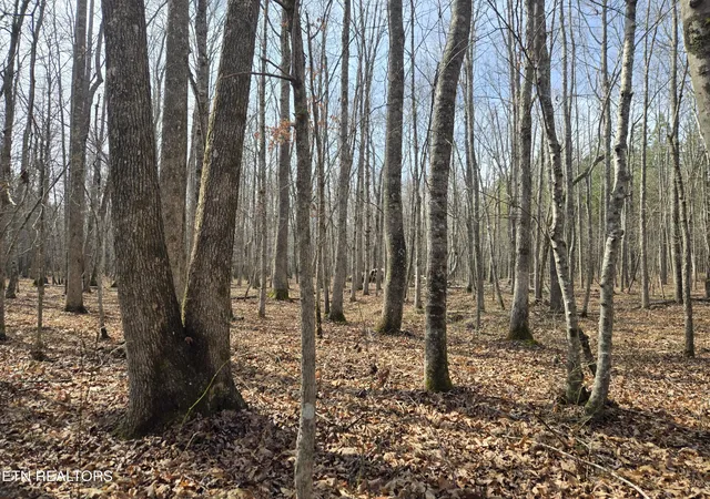 4th image of 0 Cottonwood Tr, Sunbright, TN 37872 | MLS# 1351080