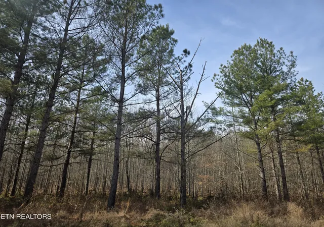 5th image of 0 Cottonwood Tr, Sunbright, TN 37872 | MLS# 1351080