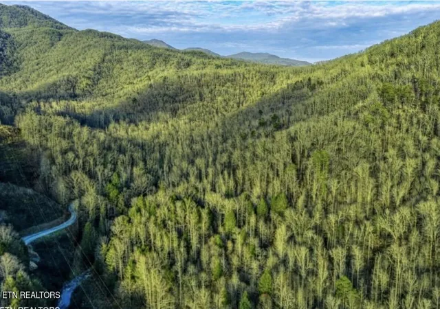 2nd image of 0 Hoskins Gap Rd #0, Oliver Springs, TN 37840 | MLS# 1351106