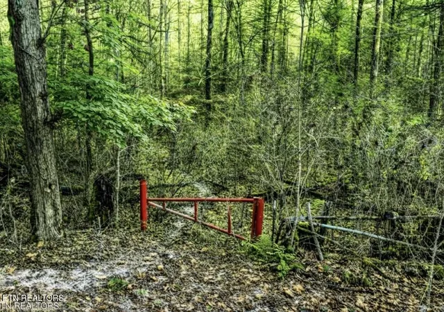 Photo 3 of Land for sale at 0 Hoskins Gap Rd #0, Oliver Springs, TN 37840 | MLS# 1351106 | Listing updated on 2026-08-07