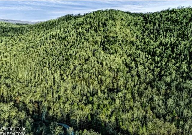 Photo 3 of Land for sale at 0 Hoskins Gap Rd #0, Oliver Springs, TN 37840 | MLS# 1351106 | Listing updated on 2026-08-07