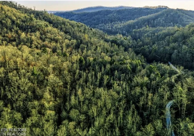 Photo 4 of Land for sale at 0 Hoskins Gap Rd #0, Oliver Springs, TN 37840 | MLS# 1351106 | Listing updated on 2026-08-07