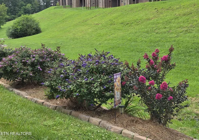 37th image of 11145 Narrow Leaf Dr, Knoxville, TN 37932 | MLS# 1351583