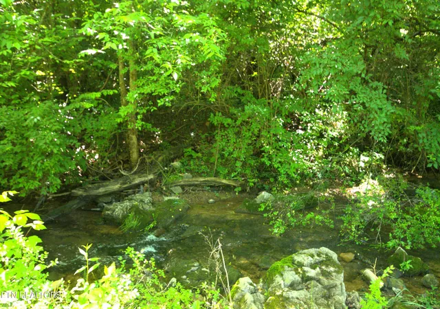 17th image of 724 Lower Quarry Rd, Newport, TN 37821 | MLS# 1351114