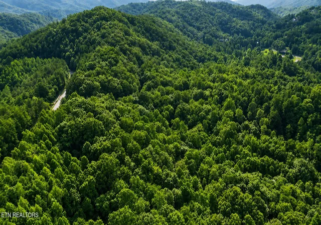 Photo 2 of Land for sale at S Clear Frk Rd, Sevierville, TN 37862 | MLS# 1351135 | Listing updated on 2026-08-08