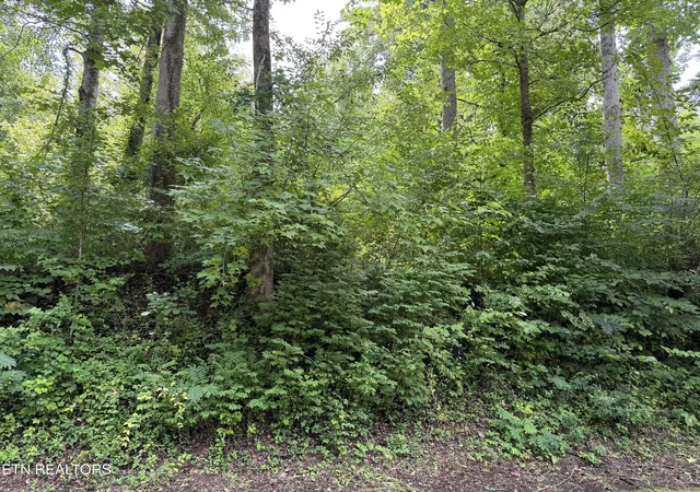 3rd image of 315 Hilltop Rd, Gatlinburg, TN 37738 | MLS# 1351170