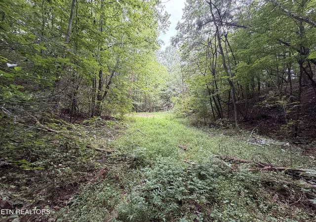 Photo 3 of Land for sale at Lots 1 5 Frg Hideaway Rd, Pigeon Forge, TN 37863 | MLS# 1351176 | Listing updated on 2026-09-09