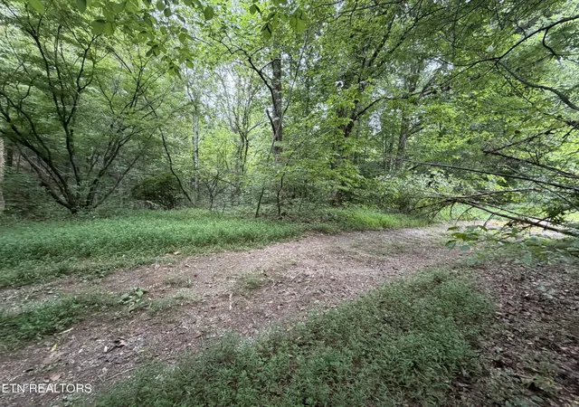 Photo 3 of Land for sale at Lots 1-5 Frg Hideaway Rd, Pigeon Forge, TN 37863 | MLS# 1351176 | Listing updated on 2026-09-09
