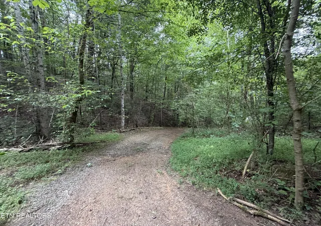 Photo 4 of Land for sale at Lots 1-5 Frg Hideaway Rd, Pigeon Forge, TN 37863 | MLS# 1351176 | Listing updated on 2026-09-09