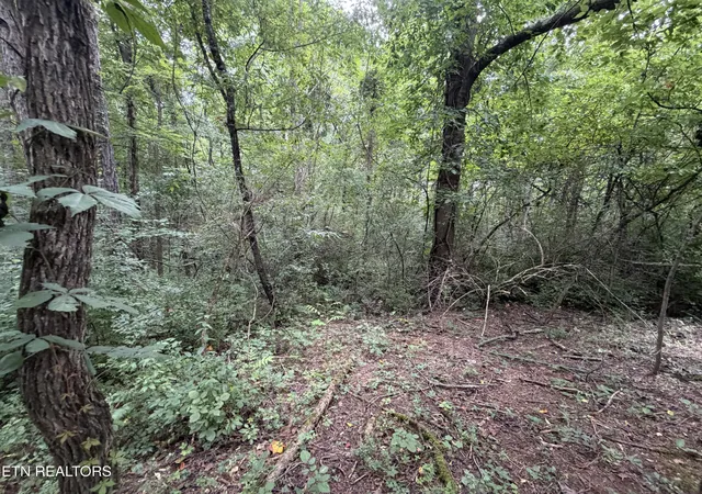 2nd image of Lot 15 Sunrise Blvd, Kodak, TN 37764 | MLS# 1351181
