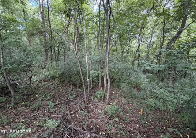 3rd image of Lot 16 Sunrise Blvd, Kodak, TN 37764 | MLS# 1351182