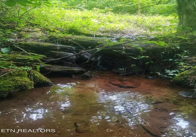 2nd image of 185 Acres Raccoon Ridge Rd, Spring City, TN 37381 | MLS# 1351216