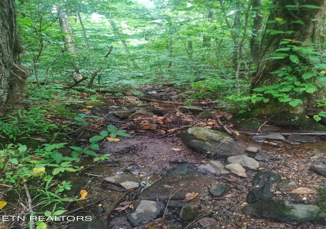 Photo 3 of Land for sale at 185 Acres Raccoon Ridge Rd, Spring City, TN 37381 | MLS# 1351216 | Listing updated on 2026-09-13