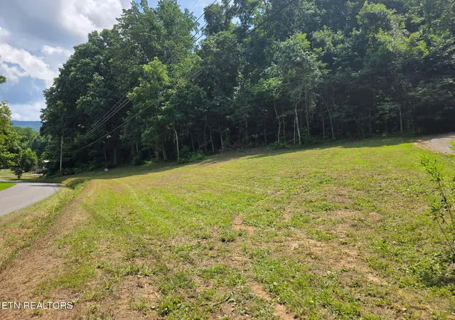 Land for sale at 0 Mcgaha Holw Rd, Dandridge, TN 37725 | MLS# 1351207