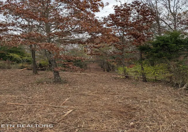 14th image of Midway Rd #Lot 3-4, Strawberry Plains, TN 37871 | MLS# 1351320