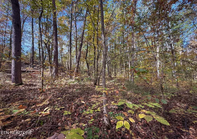 15th image of Co Rd 475, Etowah, TN 37331 | MLS# 1351270