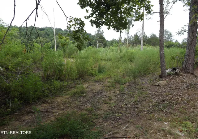 1st image of Tbd Roy Thomas Ln, New Tazewell, TN 37825 | MLS# 1352102