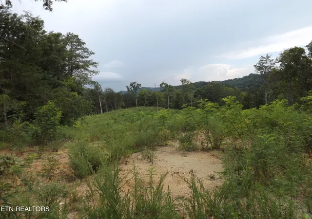 2nd image of Tbd Roy Thomas Ln, New Tazewell, TN 37825 | MLS# 1352102