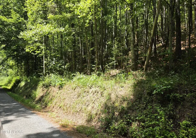 2nd image of 000 County Rd #184, Athens, TN 37303 | MLS# 1351313