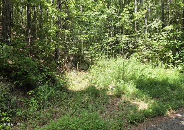 3rd image of 000 County Rd #184, Athens, TN 37303 | MLS# 1351313