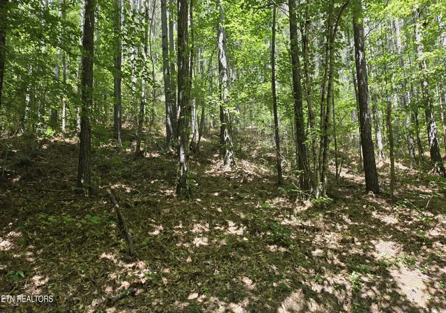 4th image of 000 County Rd #184, Athens, TN 37303 | MLS# 1351313