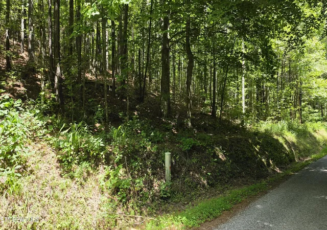 5th image of 000 County Rd #184, Athens, TN 37303 | MLS# 1351313