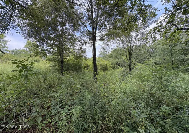 Photo 3 of Sale Pending at Midway Rd Lot 3, Strawberry Plains, TN 37871 | MLS# 1351326 | Listing updated on 2026-09-02