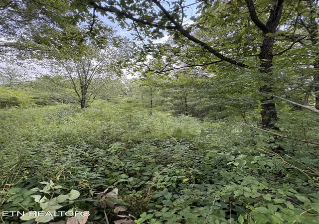 3rd image of Midway Road Lot 4, Strawberry Plains, TN 37871 | MLS# 1351330