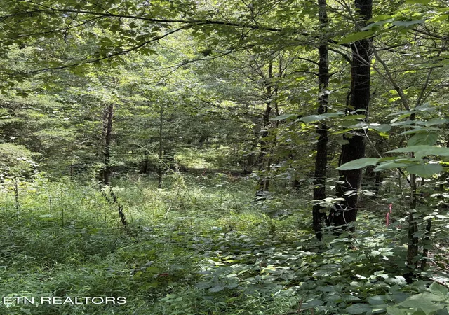 4th image of Midway Road Lot 4, Strawberry Plains, TN 37871 | MLS# 1351330