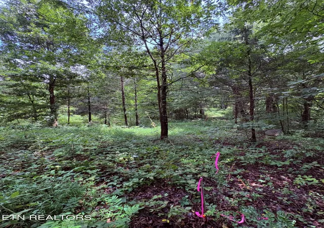 5th image of Midway Road Lot 4, Strawberry Plains, TN 37871 | MLS# 1351330