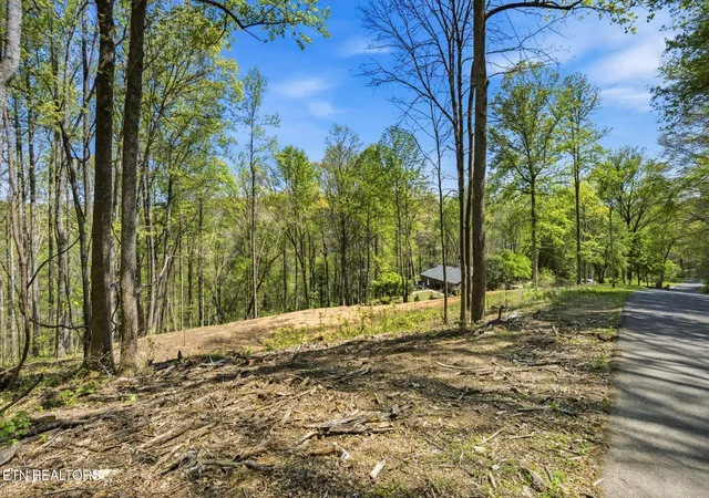 21st image of Skyline Dr, Clinton, TN 37716 | MLS# 1351341