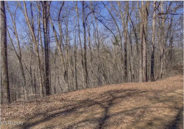 1st image of 4585 Crooked Creek Wy, Maryville, TN 37803 | MLS# 1351463